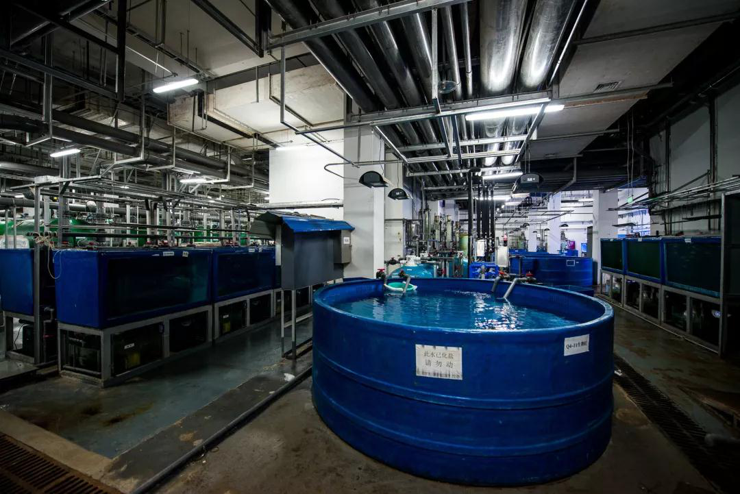 蠕(rú)動泵用于(yu)克服三種(zhǒng)廢水問題(ti)